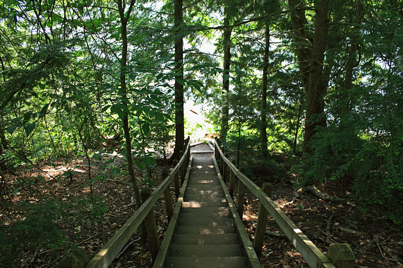 the stairs down to the tahquamenon river