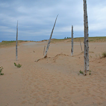 Dune Trail at Sleeping Bear Point – Hiking Sleeping Bear Dunes