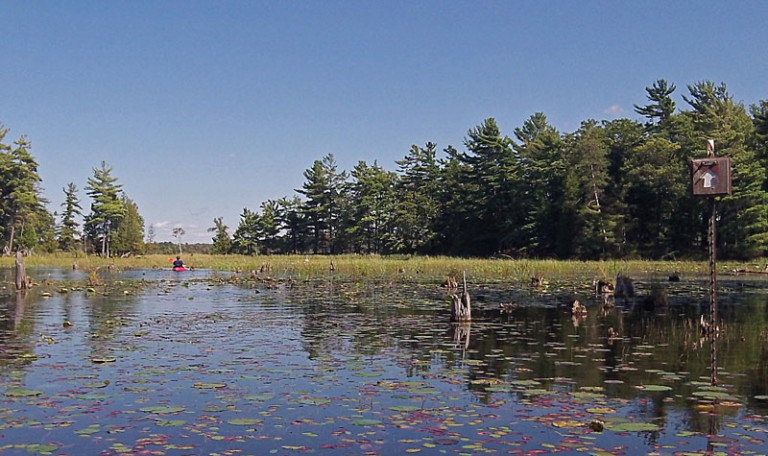 Ludington State Park Canoe Trail – Day Trip – MyMichiganTrips.com