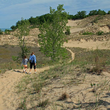 Hiking at Warren Dunes State Park – North Trails