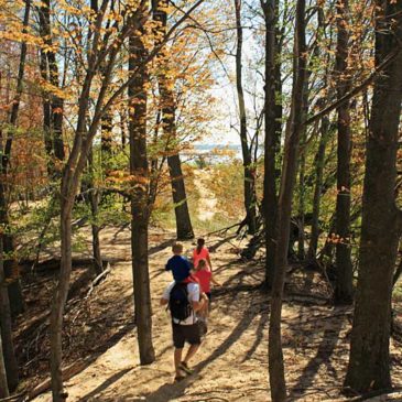 Muskegon State Park Hiking – Dune Ridge and Devil’s Kitchen Trails