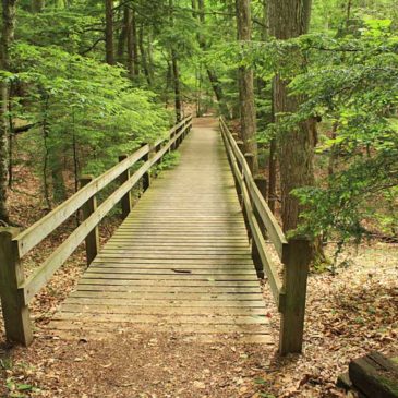 Hiking at Leelanau State Park