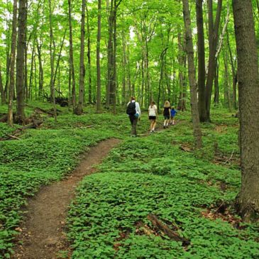 Green Point Dunes Nature Preserve Hike