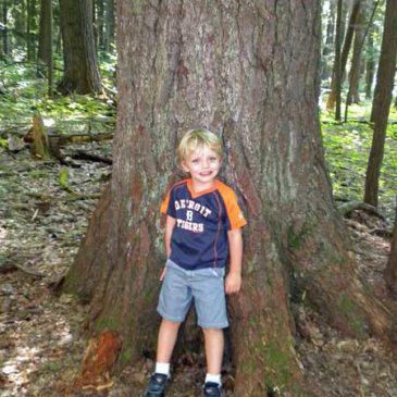 Hartwick Pines State Park