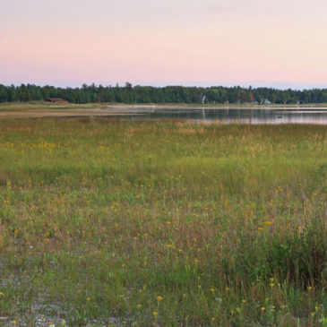 Cheboygan State Park – Camping and Mountain Biking