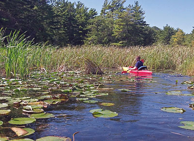 Ludington State Park Canoe Trail – Day Trip