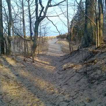 Hiking Saugatuck Dunes State Park – South Trail